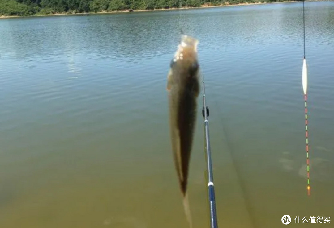 钓鱼高手除了鱼什么都可能钓到,当然我这新手是空军